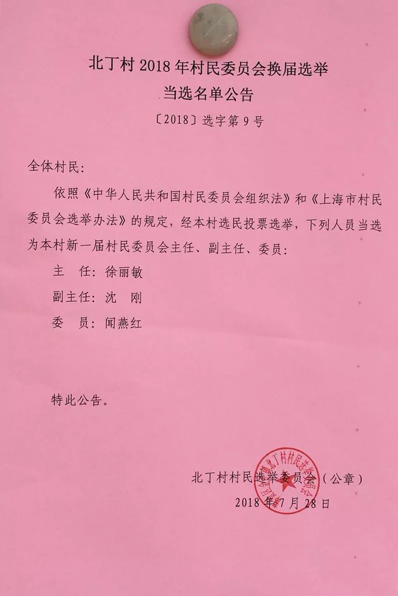 武湾村委会人事大调整，重塑领导团队，开启社区发展新篇章