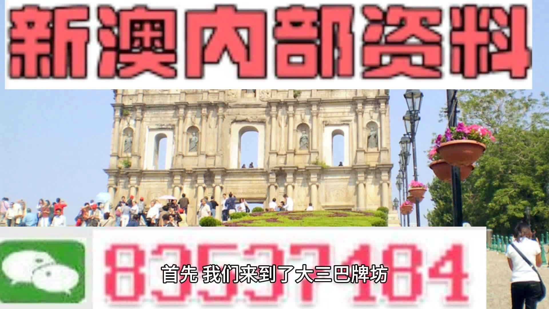 新澳2024今晚开奖资料四不像,动态解析词汇_策略版81.284