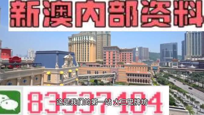 2024新澳门正版免费资料,连贯性执行方法评估_Android256.183