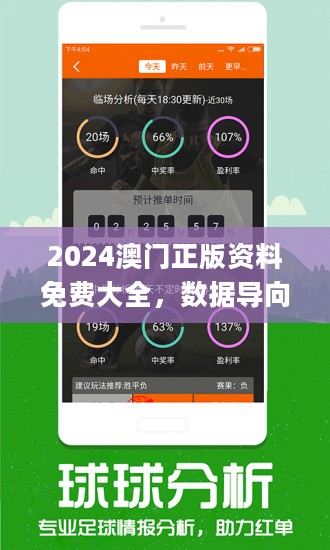 2024年新澳资料免费公开,数据导向执行解析_UHD版69.146