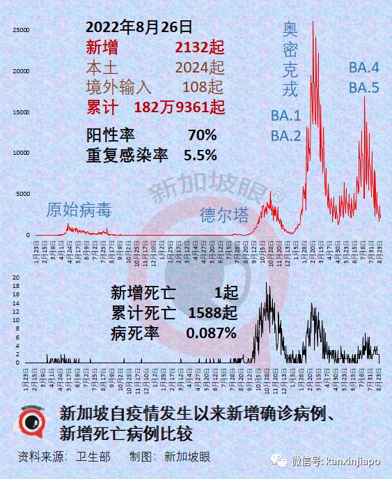 新冠病毒2024年最新消息,动态调整策略执行_网页版16.613