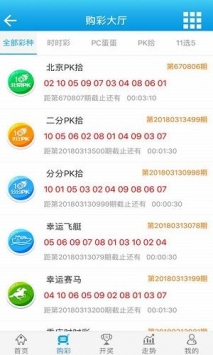 新澳门王中王100%期期中,时代说明评估_手游版28.89