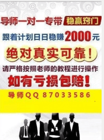 新澳门2024天天彩管家婆资料,全面解析数据执行_战略版25.336