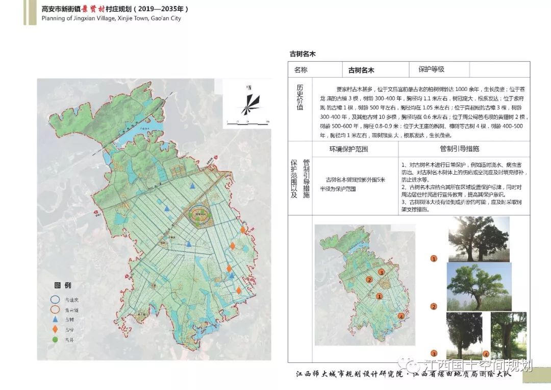 多吉村最新发展规划概览