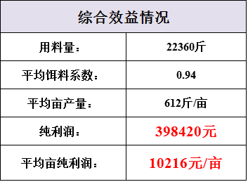 大众网澳门大众网免费,收益成语分析落实_专业版150.205