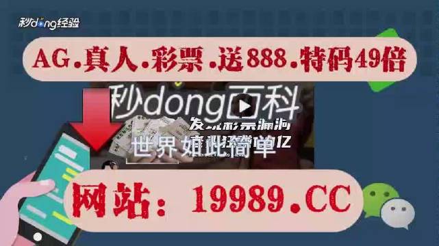 2024澳门天天六开奖彩免费,数据资料解释落实_体验版3.3