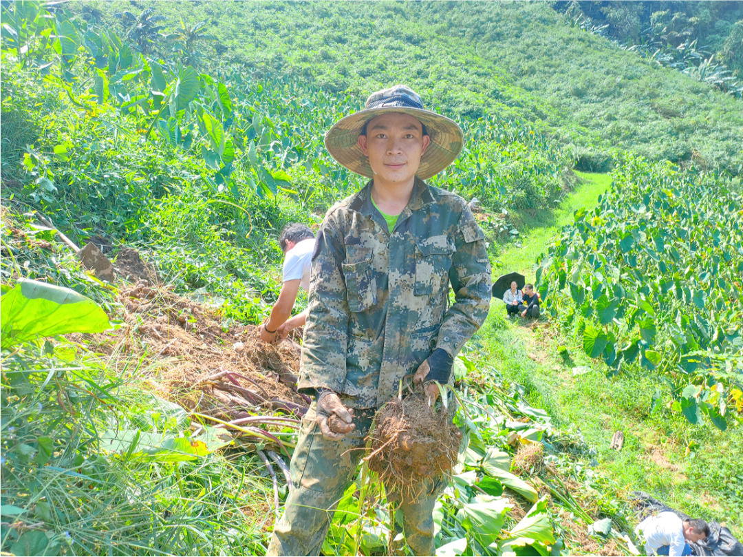 莲花滩地区领导新貌，走进四乡探寻新领导风采