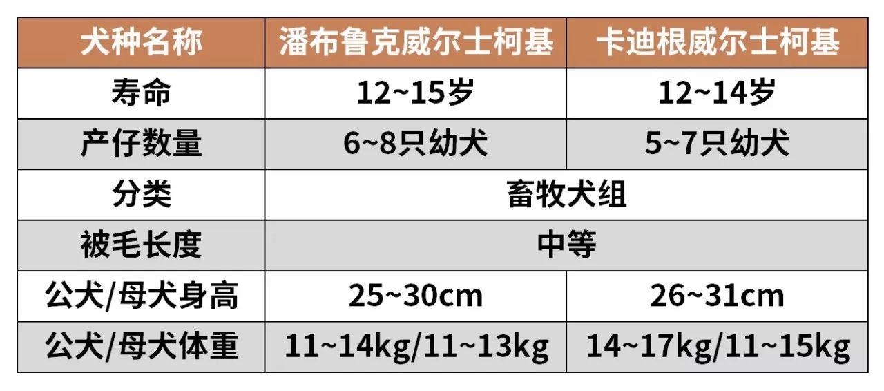 22324濠江论坛 corr,数据解析导向计划_6DM86.963