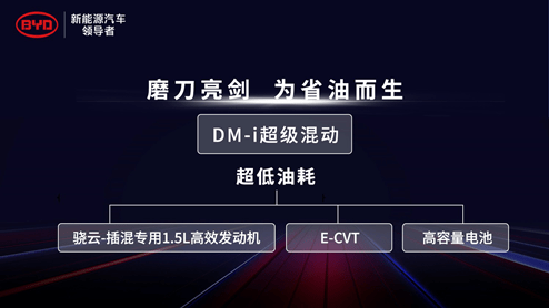 新奥最快最准的资料,先进技术执行分析_6DM85.184