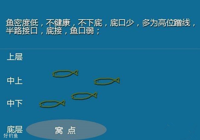 正版资料免费资料大全十点半,诠释解析落实_专业版150.205