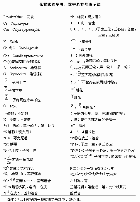 白小姐三肖三必出一期开奖,实证研究解释定义_X64.741