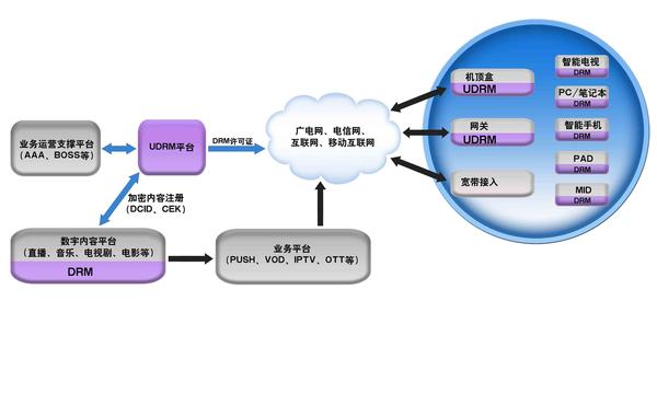 太和县科技局等最新招聘信息及职业机会探讨