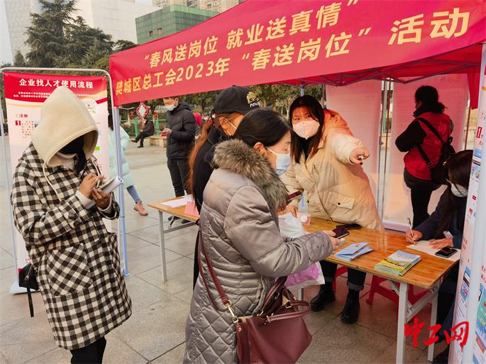 樊城区农业农村局最新项目，推动农业现代化，助力乡村振兴