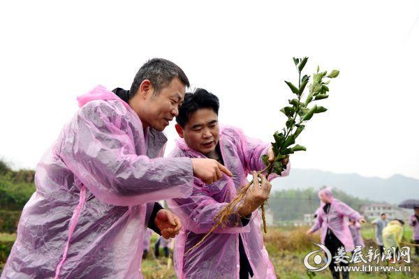 娄底市财政局领导团队全新亮相，引领财政事业再上新台阶