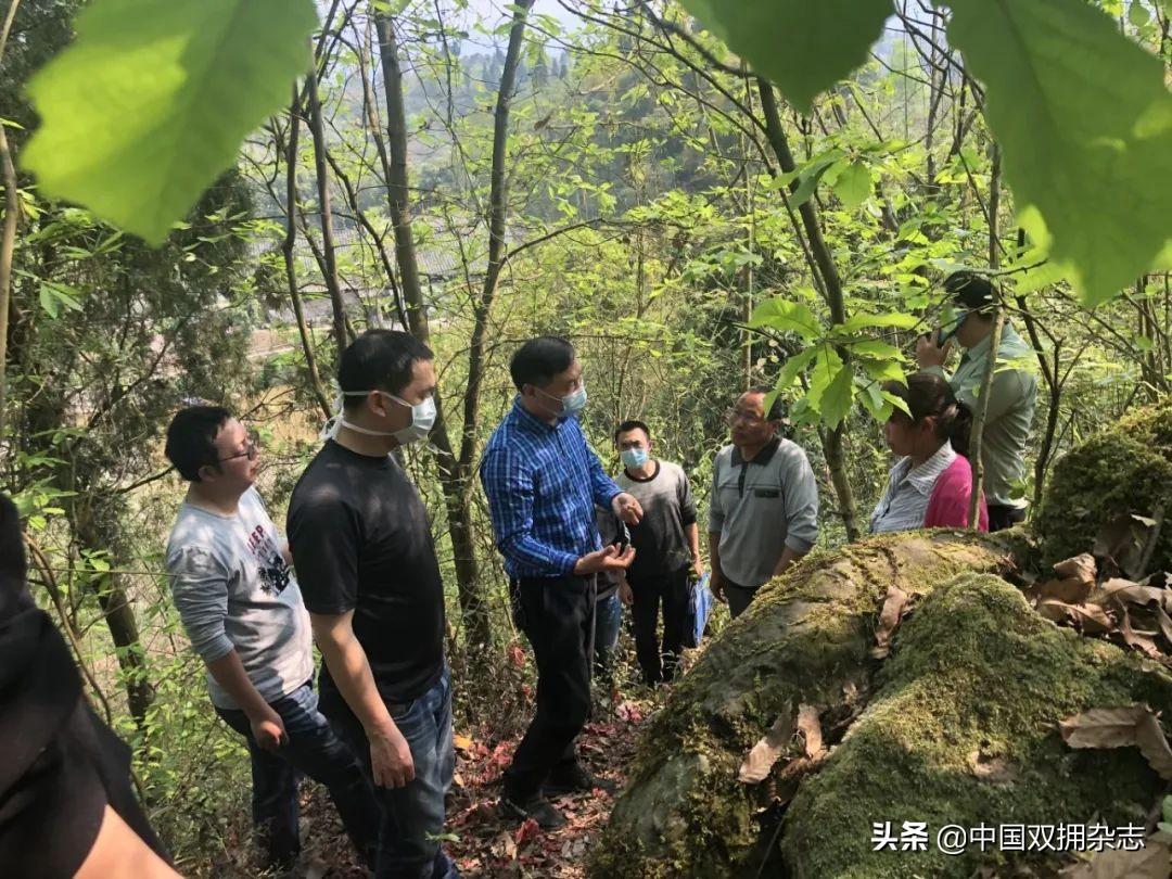 綦江县退役军人事务局新项目启动，重塑荣耀，筑梦未来