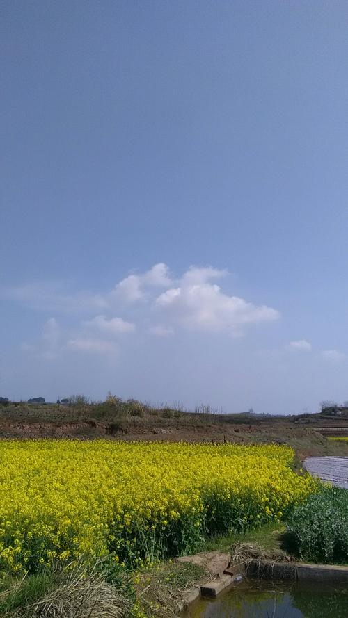 黄雷乡天气预报更新通知