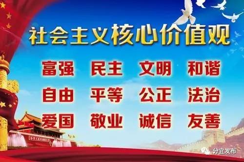 板山乡招聘最新动态与就业市场深度解析