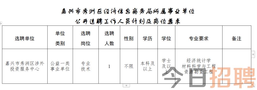 梁子湖区数据和政务服务局招聘公告解析