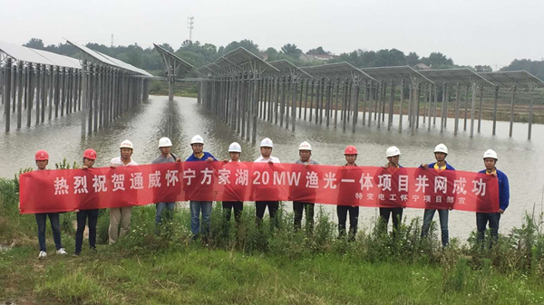 怀宁县水利局新项目推动水利建设助力地方发展进程