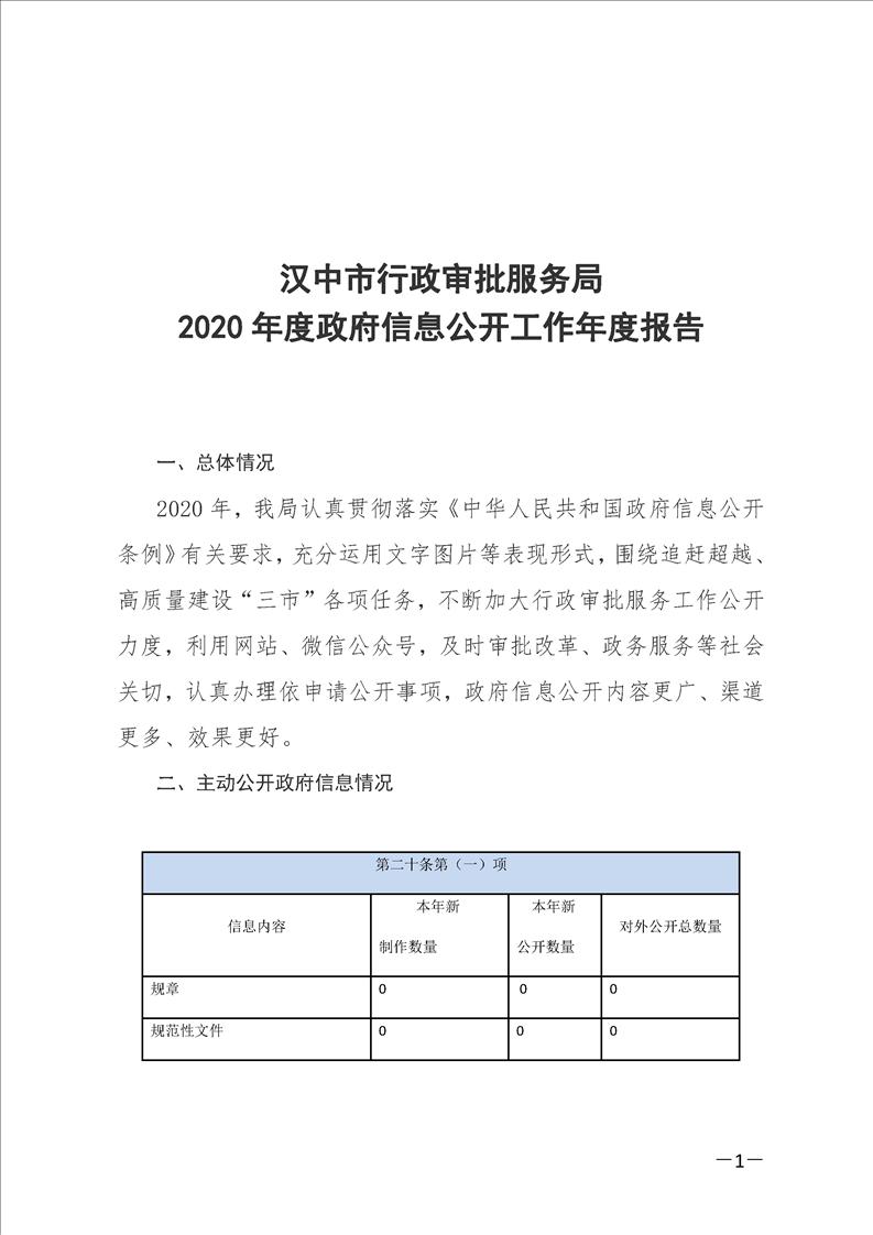 中卫市行政审批办公室最新发展规划概览