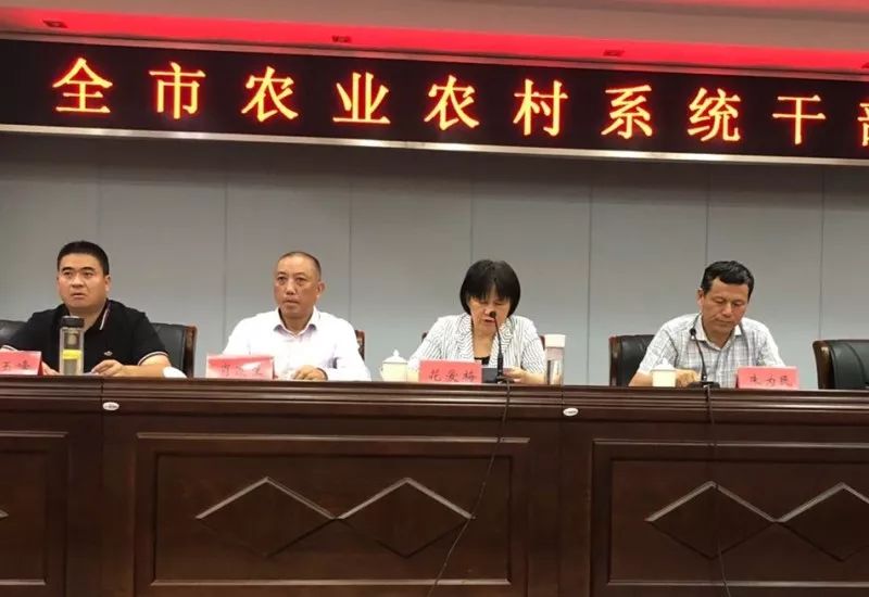 南关区农业农村局人事任命揭晓，塑造农业未来新篇章