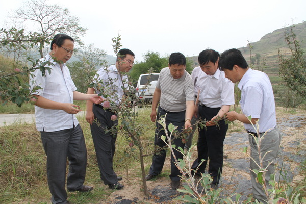 远门乡领导引领地方发展的探索实践之路