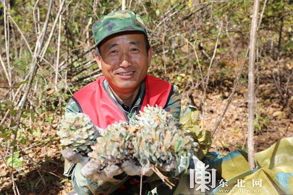 乐业县交通运输局领导团队全新亮相，工作展望与未来规划