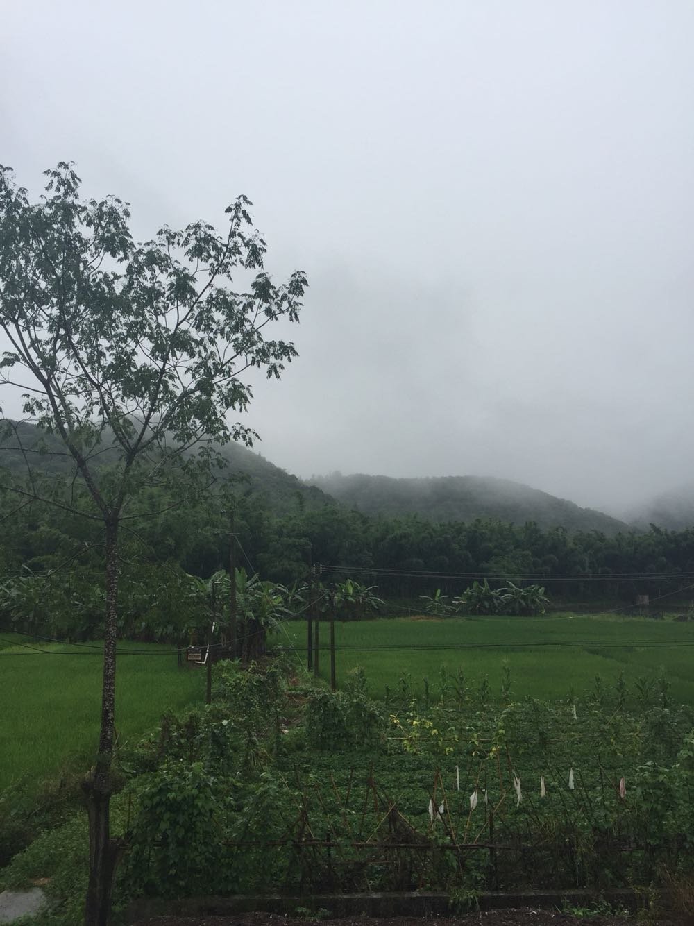 谷旦镇天气预报更新通知