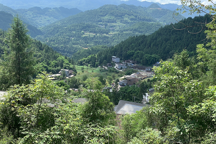 彭水苗族土家族自治县农业农村局新项目推动农业现代化助力乡村振兴