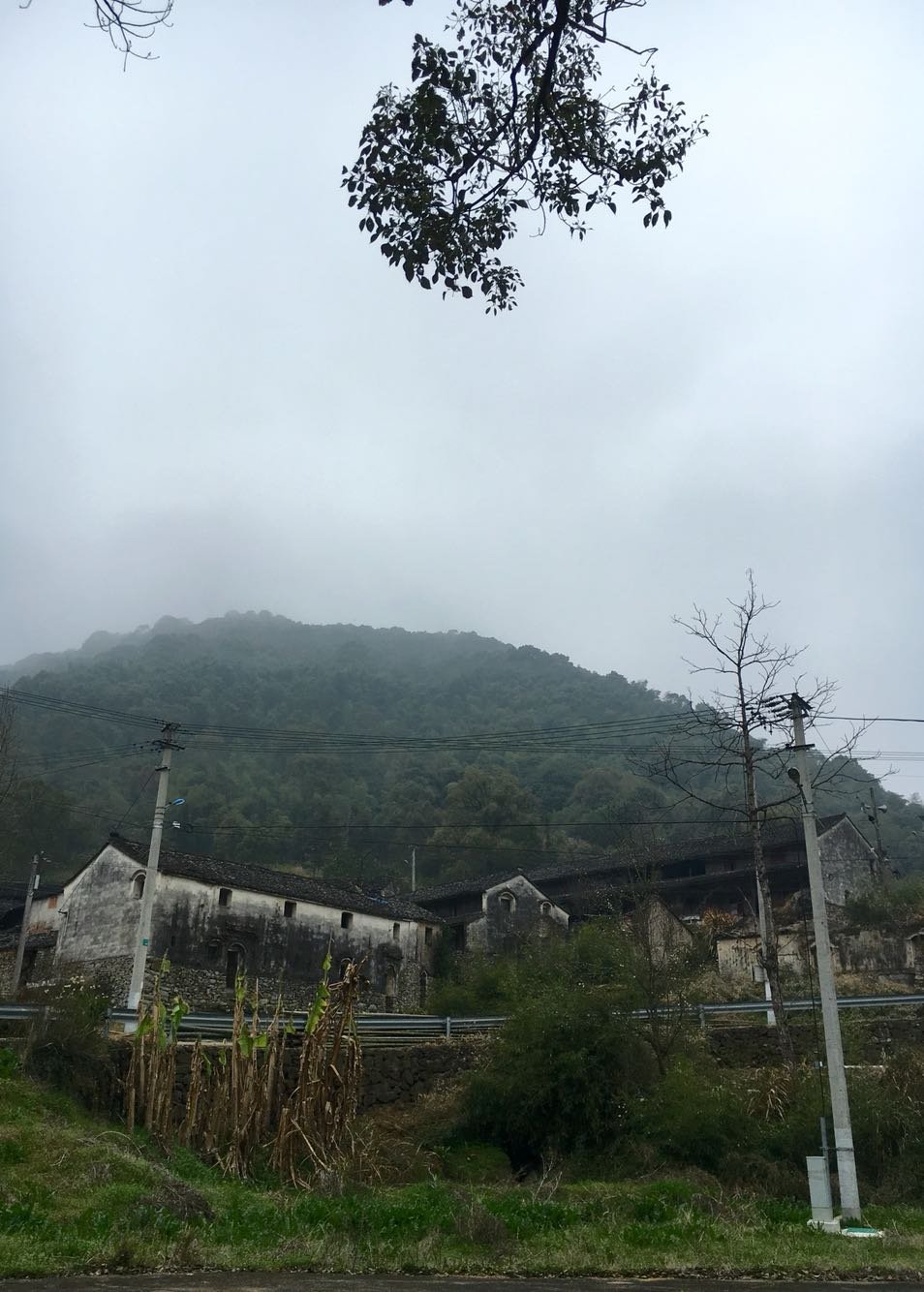 丽岙街道天气预报更新通知