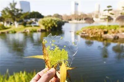 湖边水库天气预报更新及其影响分析