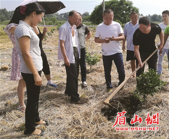 青神县财政局推动财政改革助力县域经济腾飞最新消息