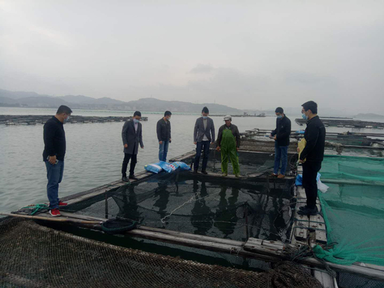 雷公岛水产养殖场最新动态报道