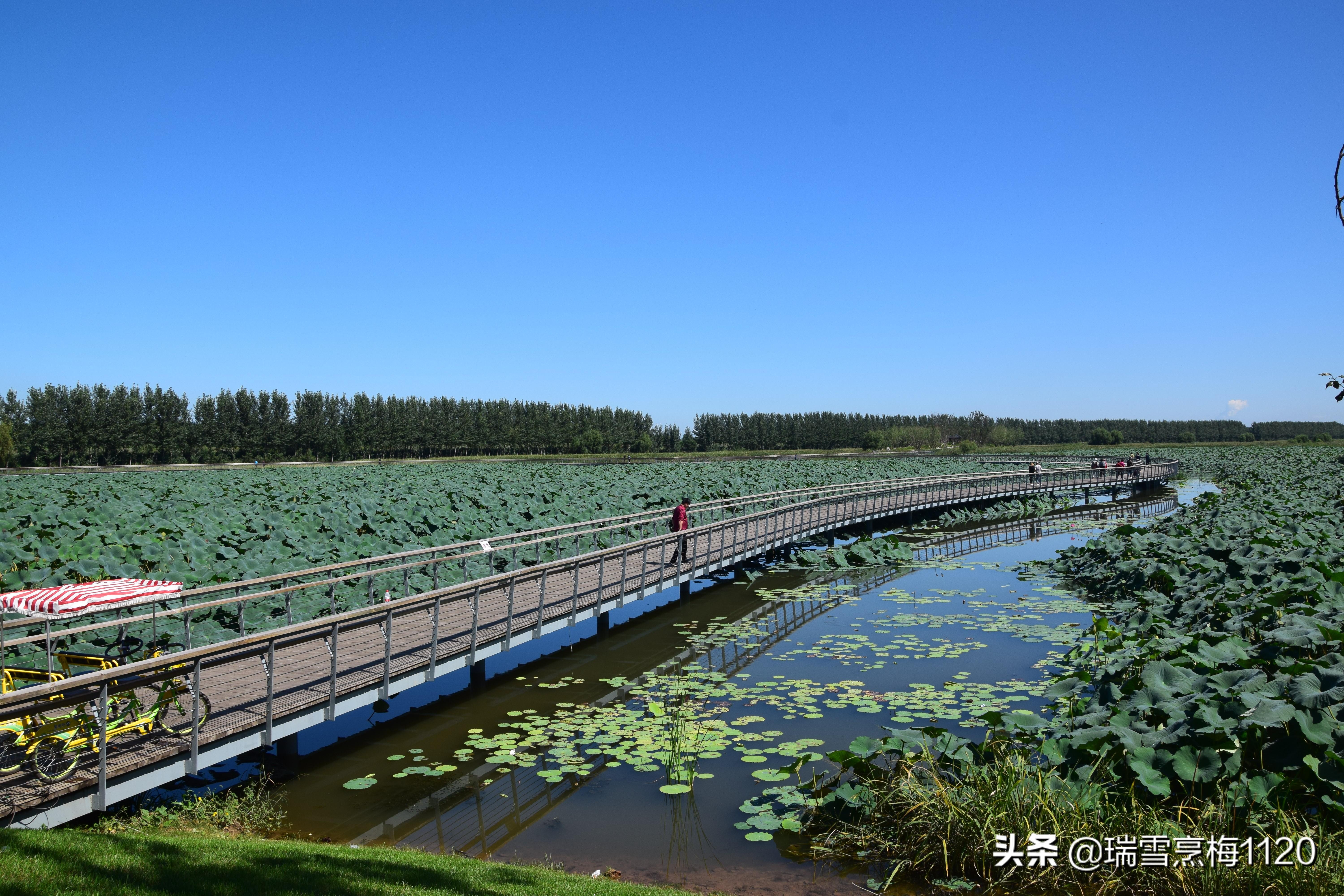 黄家锡伯族乡走向繁荣与和谐共生的最新发展规划揭秘