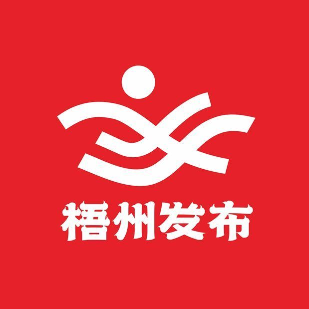 梧州市城市社会经济调查队最新招聘启事