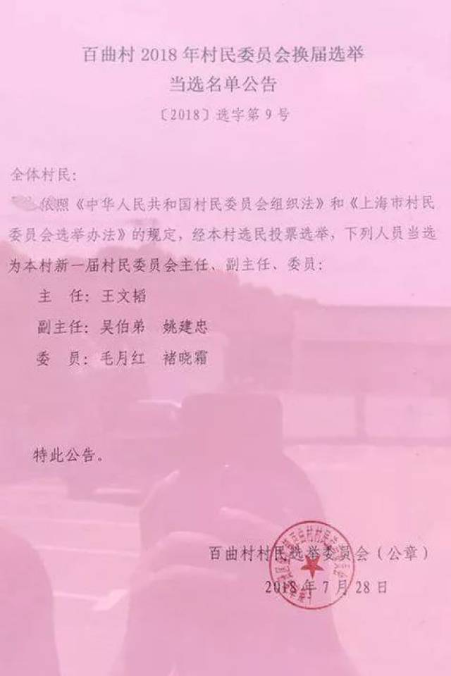 柳树村委会人事任命完成，村级治理迈向新台阶