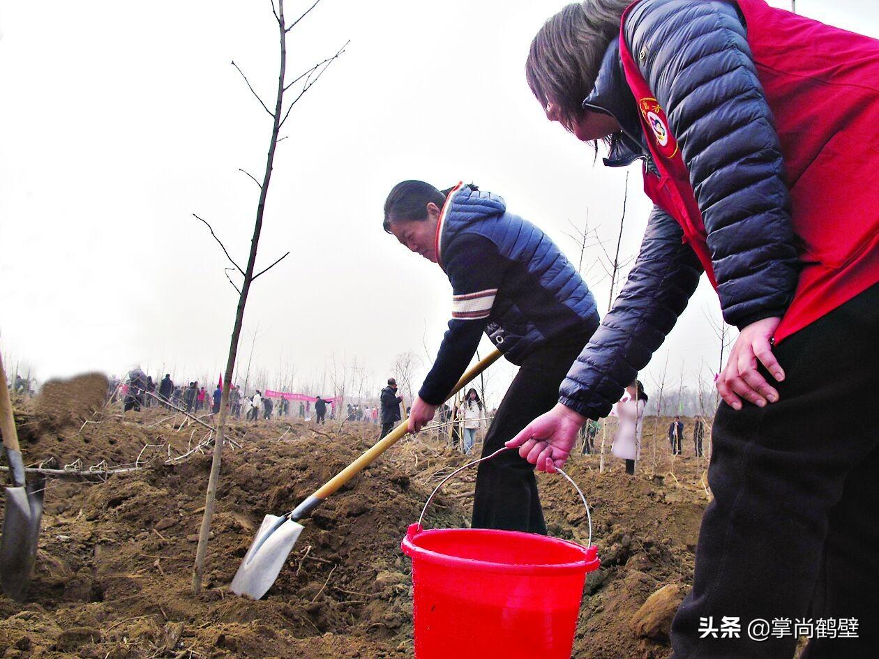 鹤壁市国土资源局最新动态报道