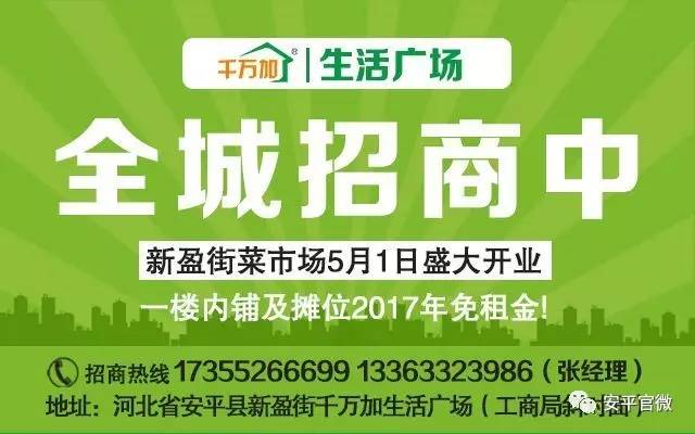 金乡县人力资源和社会保障局最新招聘概览